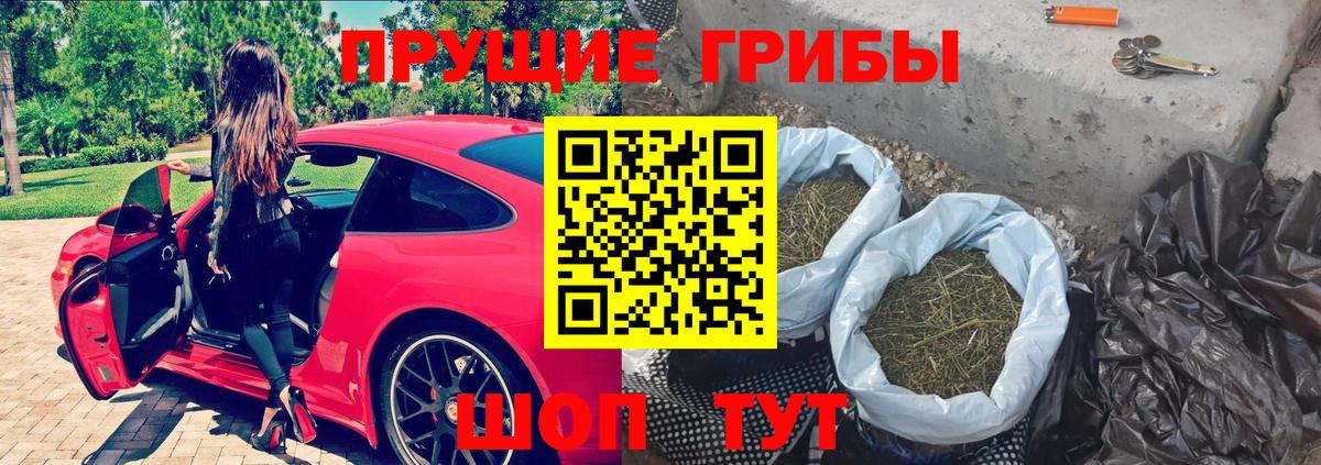 Галлюциногенные грибы прущие грибы Петропавловск-Камчатский